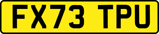FX73TPU