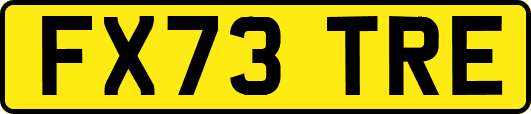 FX73TRE