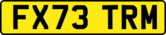 FX73TRM