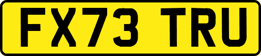 FX73TRU