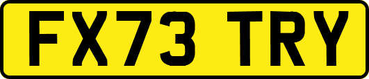 FX73TRY