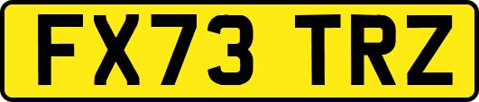 FX73TRZ