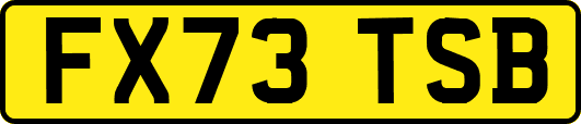 FX73TSB
