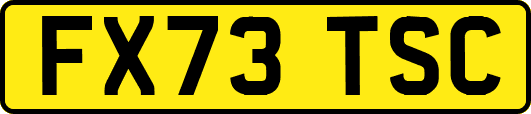 FX73TSC