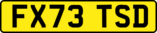 FX73TSD