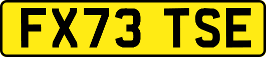 FX73TSE