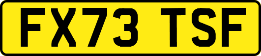 FX73TSF