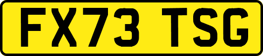 FX73TSG