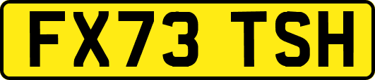 FX73TSH