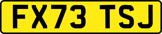 FX73TSJ
