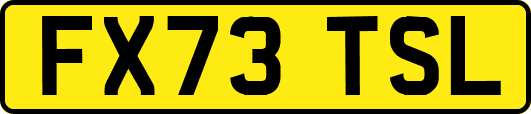 FX73TSL