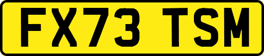 FX73TSM