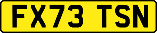 FX73TSN
