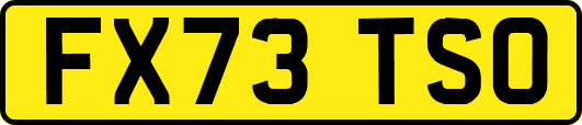 FX73TSO