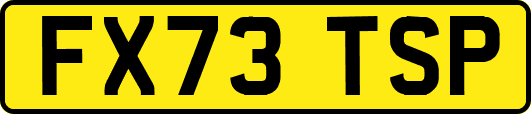 FX73TSP