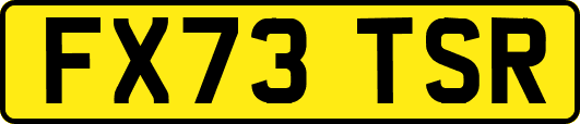 FX73TSR