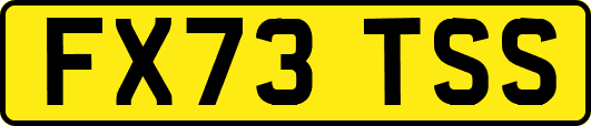 FX73TSS