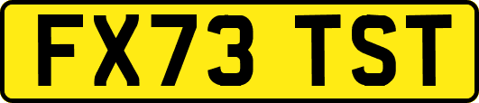 FX73TST