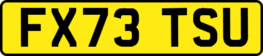 FX73TSU