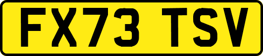 FX73TSV