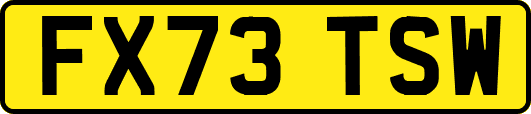 FX73TSW