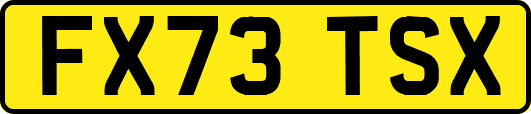 FX73TSX