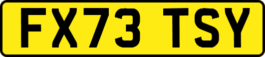 FX73TSY