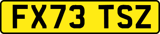 FX73TSZ