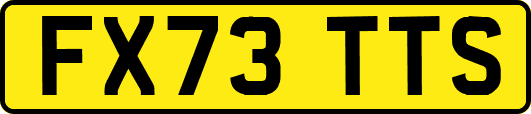 FX73TTS