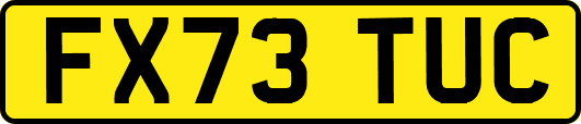 FX73TUC