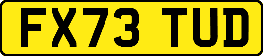 FX73TUD