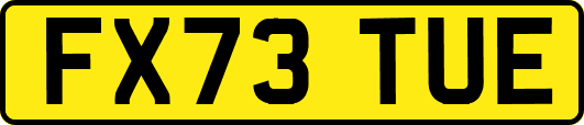 FX73TUE