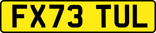 FX73TUL