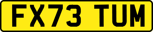 FX73TUM