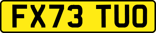 FX73TUO