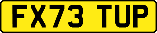 FX73TUP