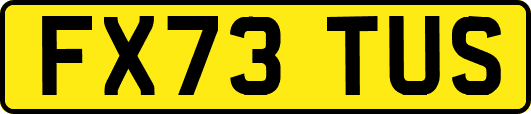 FX73TUS