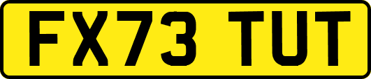 FX73TUT