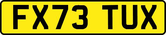 FX73TUX