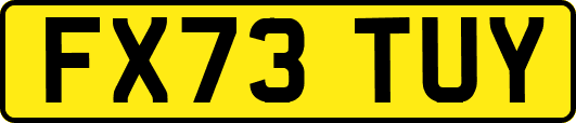 FX73TUY