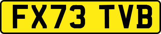 FX73TVB