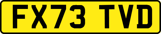FX73TVD