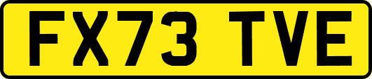 FX73TVE