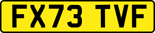 FX73TVF