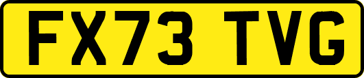 FX73TVG