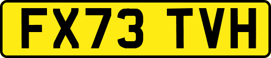 FX73TVH