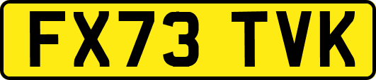FX73TVK