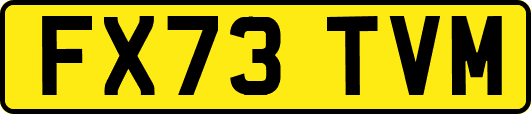 FX73TVM