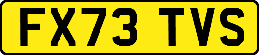 FX73TVS