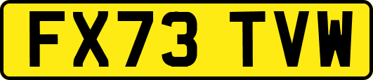 FX73TVW